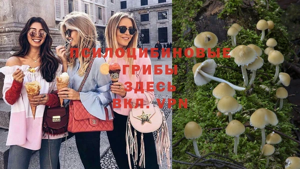 стаф Михайлов