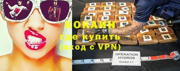 сатива Алексин